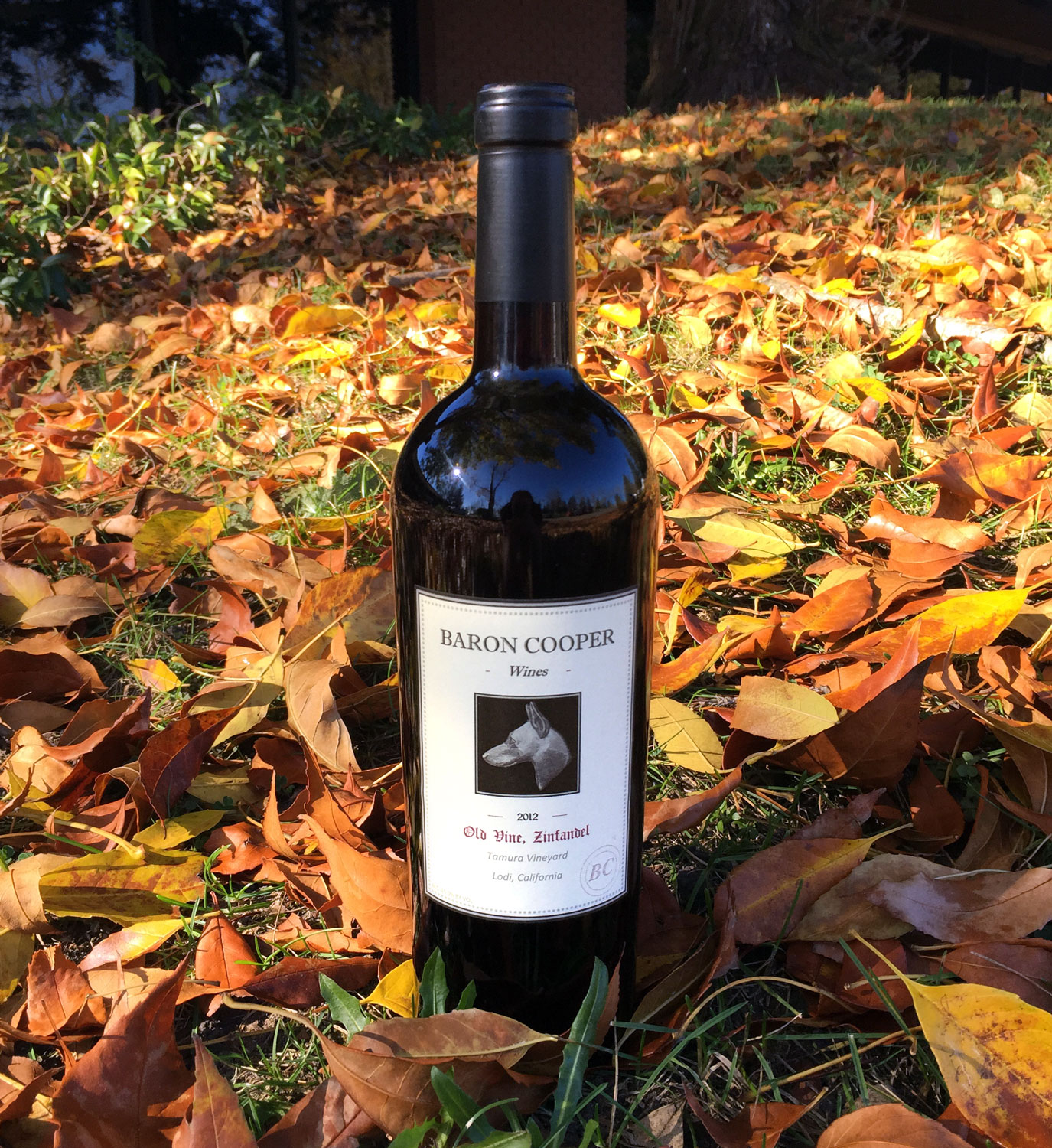 Baron Cooper 2012 Old Vine Zinfandel 750ml Wine Bottle