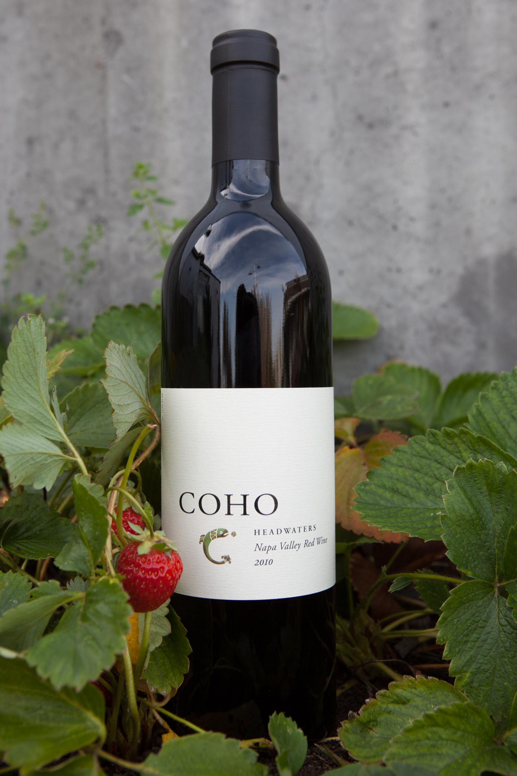 COHO 2010 Headwaters Napa Valley Red Wine 750ml Wine Bottle