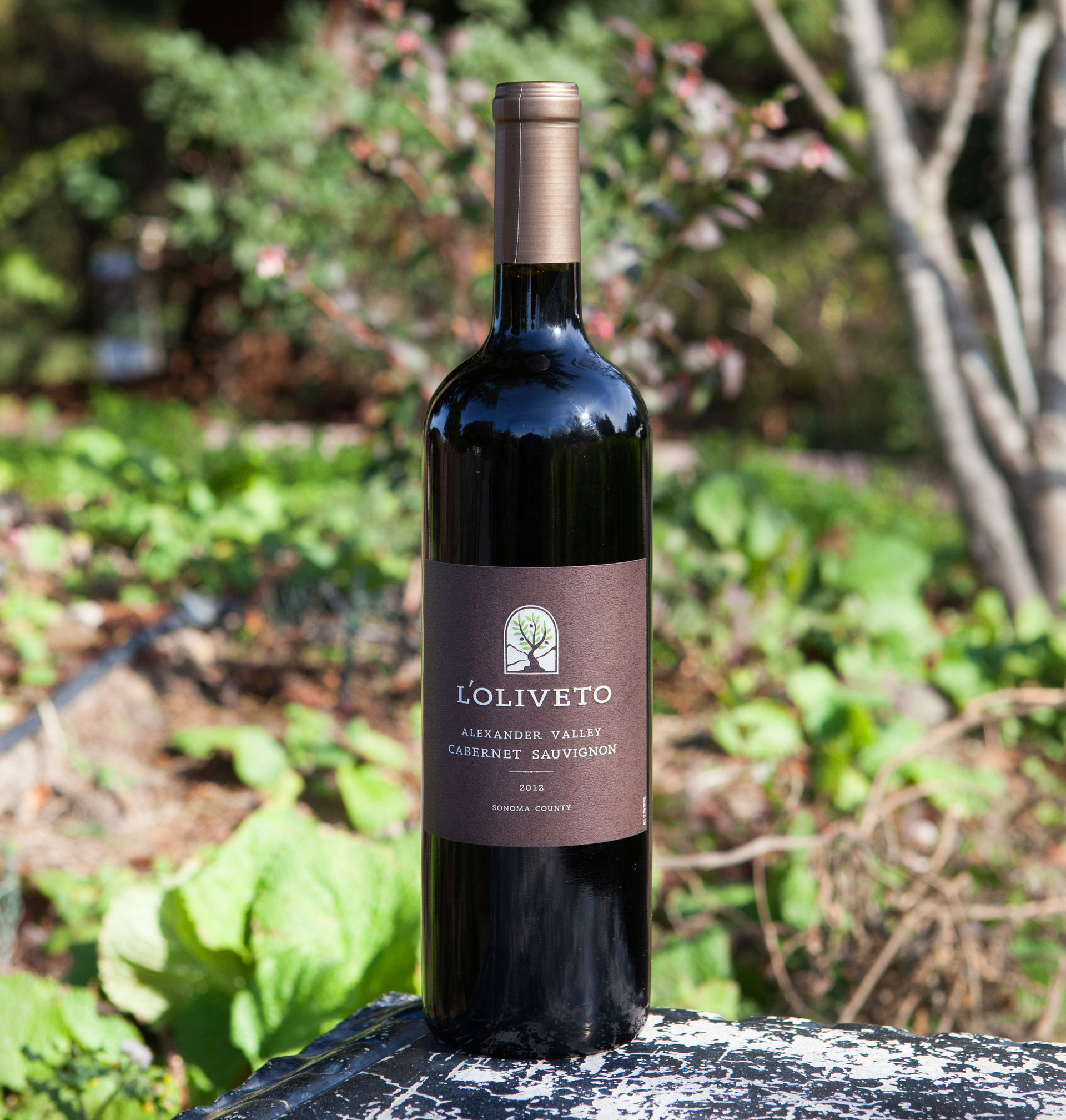 Brack Mountain 2012 L'Oliveto Alexander Valley Cabernet Sauvignon 750ml Wine Bottle