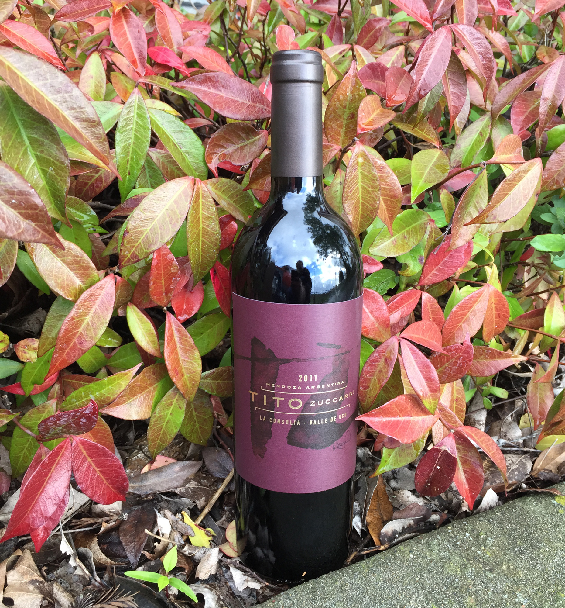 Familia Zuccardi 2011 Tito 750ml Wine Bottle