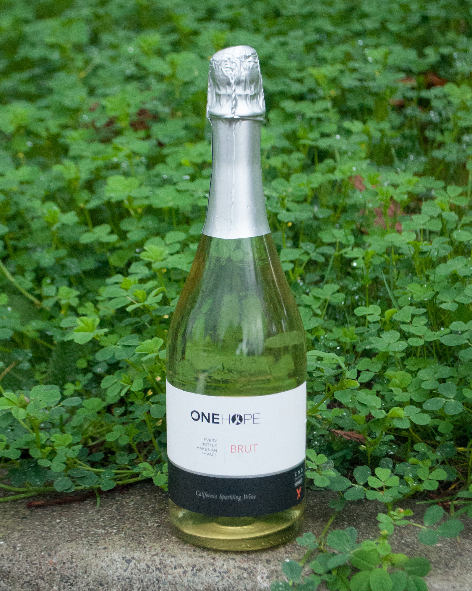 One Hope NV Brut Sparkling Wine 750ml Wine Bottle
