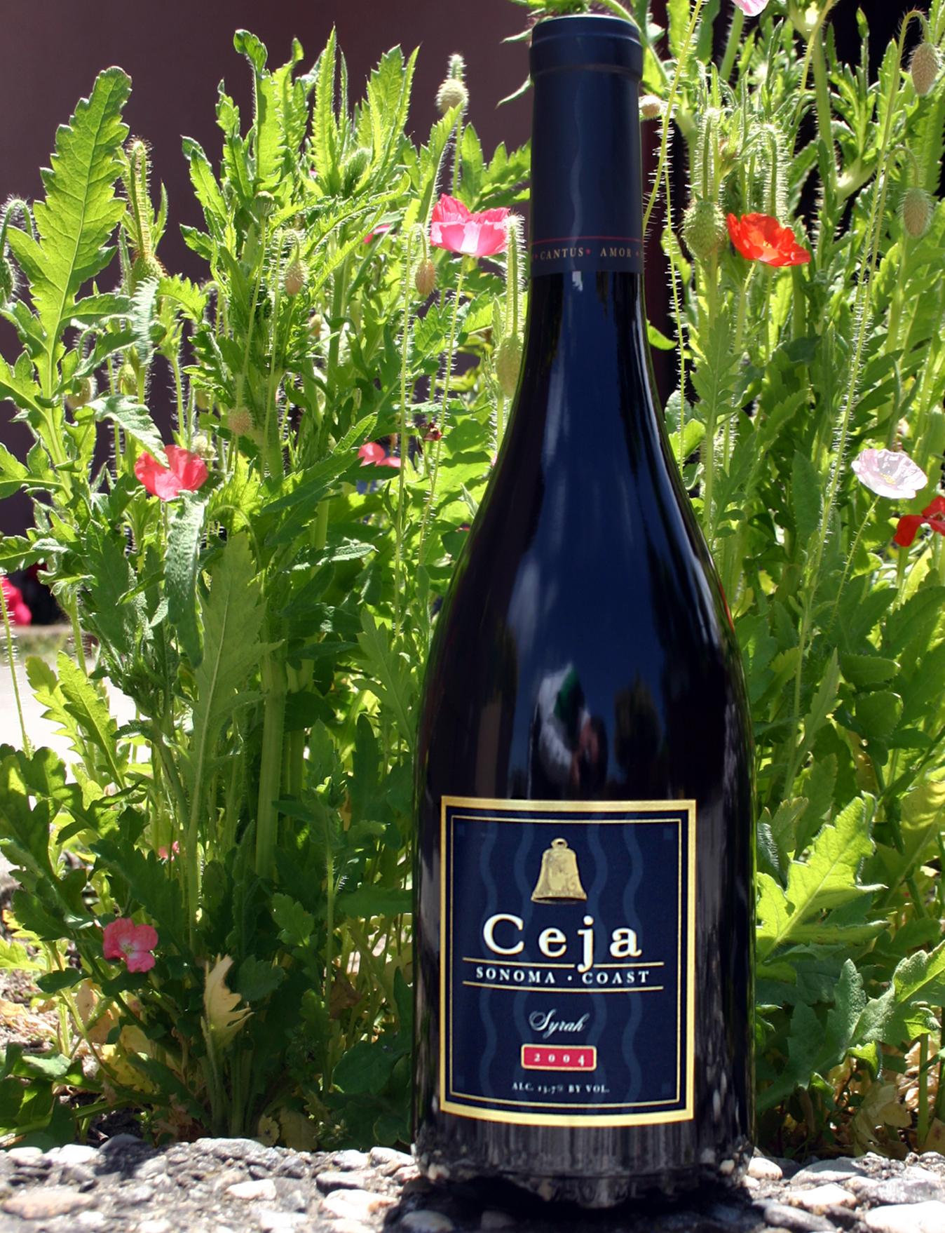 Ceja Vineyards 2004 Sonoma Coast Syrah 750ml Wine Bottle