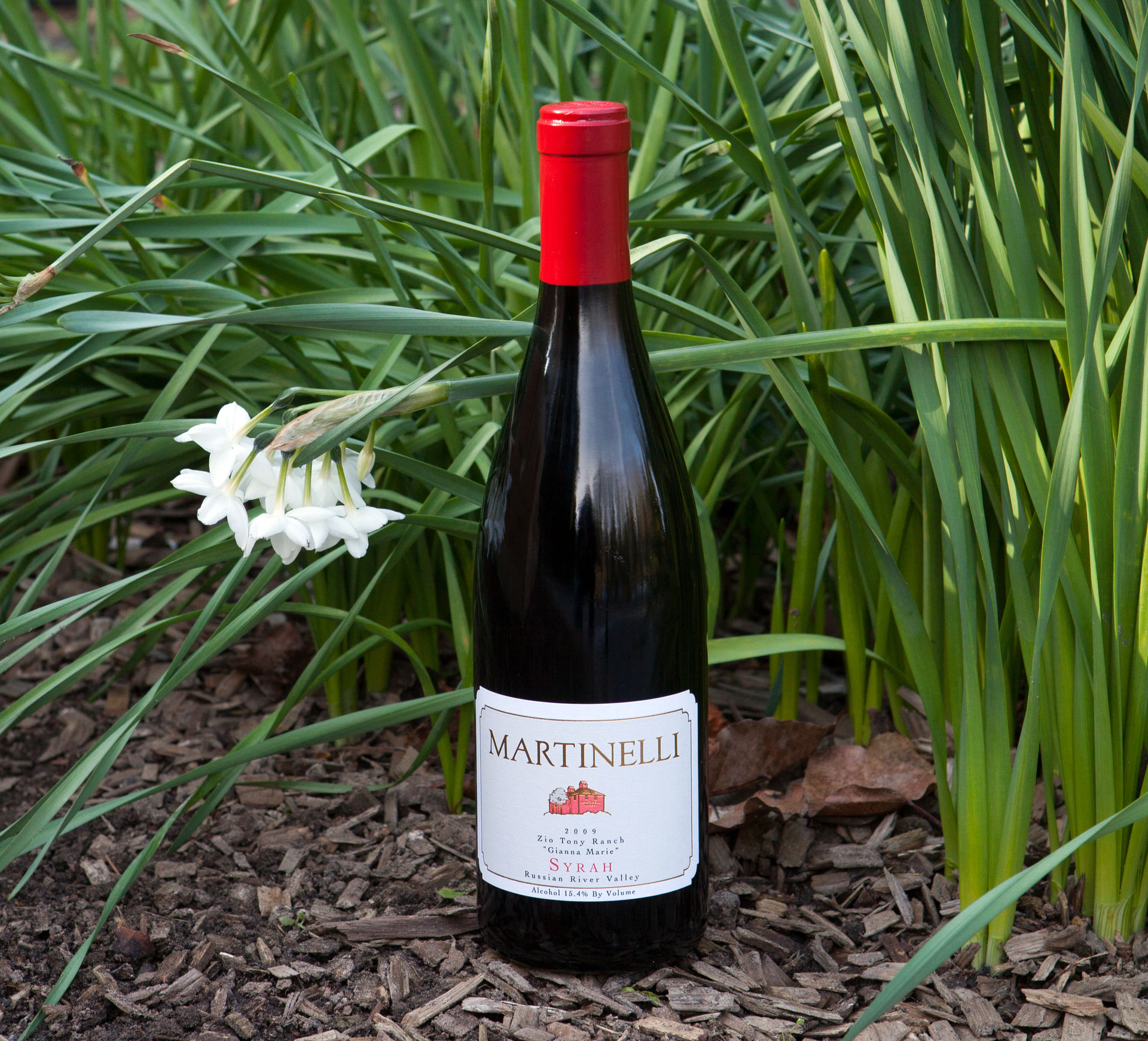 Martinelli 2009 Zio Tony Ranch Syrah 750ml Wine Bottle