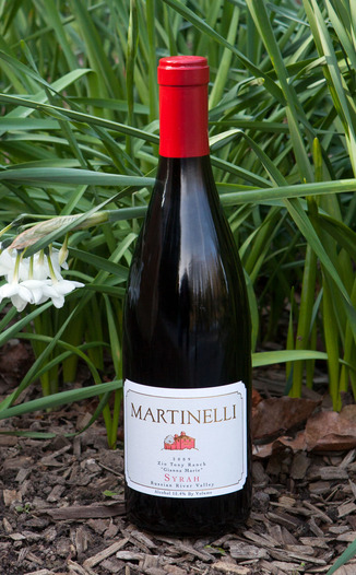 Martinelli 2009 Zio Tony Ranch Syrah 750ml Wine Bottle