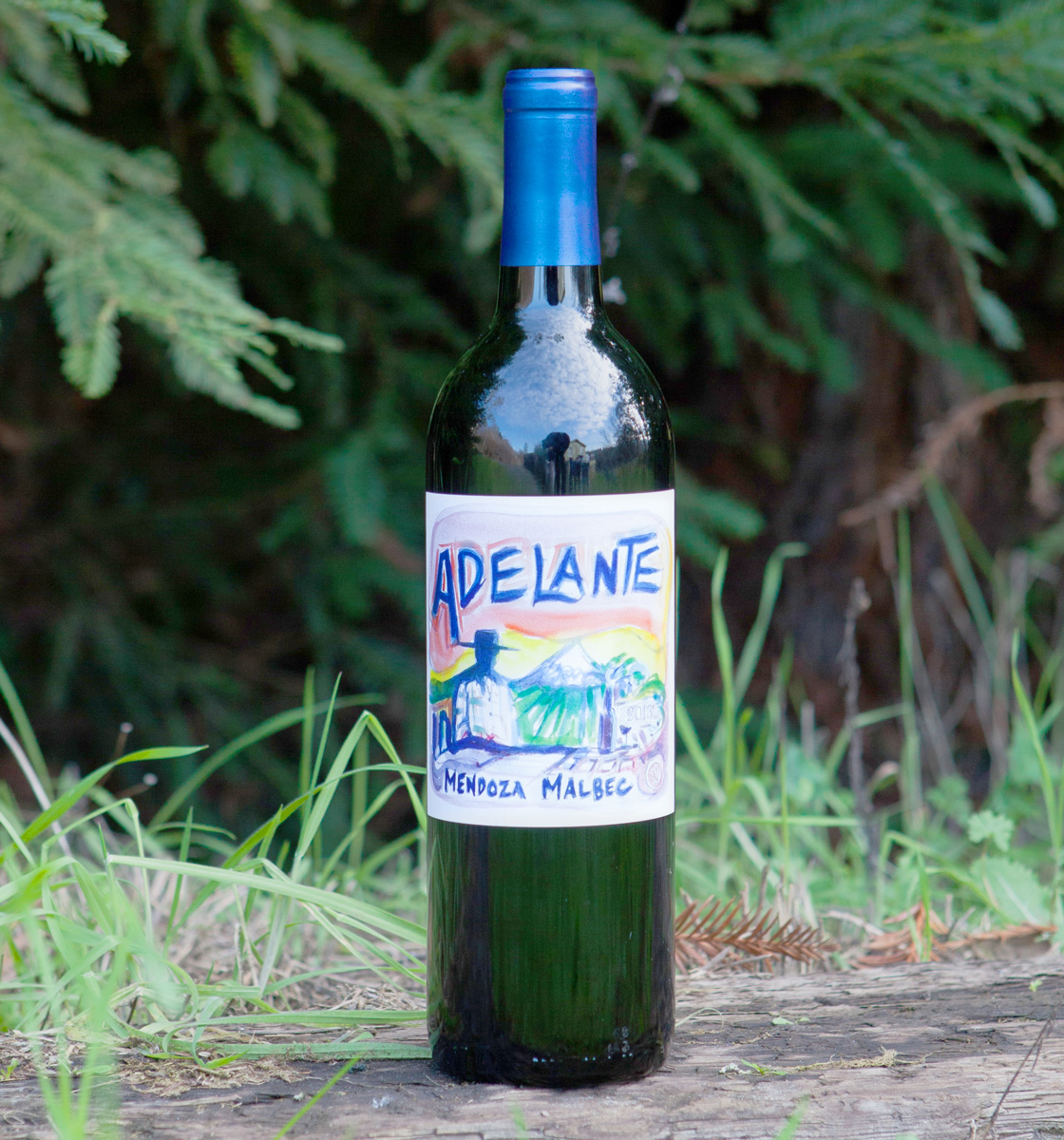 Adelante 2013 Malbec Mendoza 750ml Wine Bottle