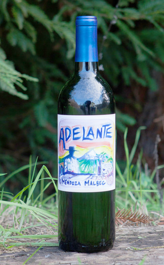 Adelante 2013 Malbec Mendoza 750ml Wine Bottle