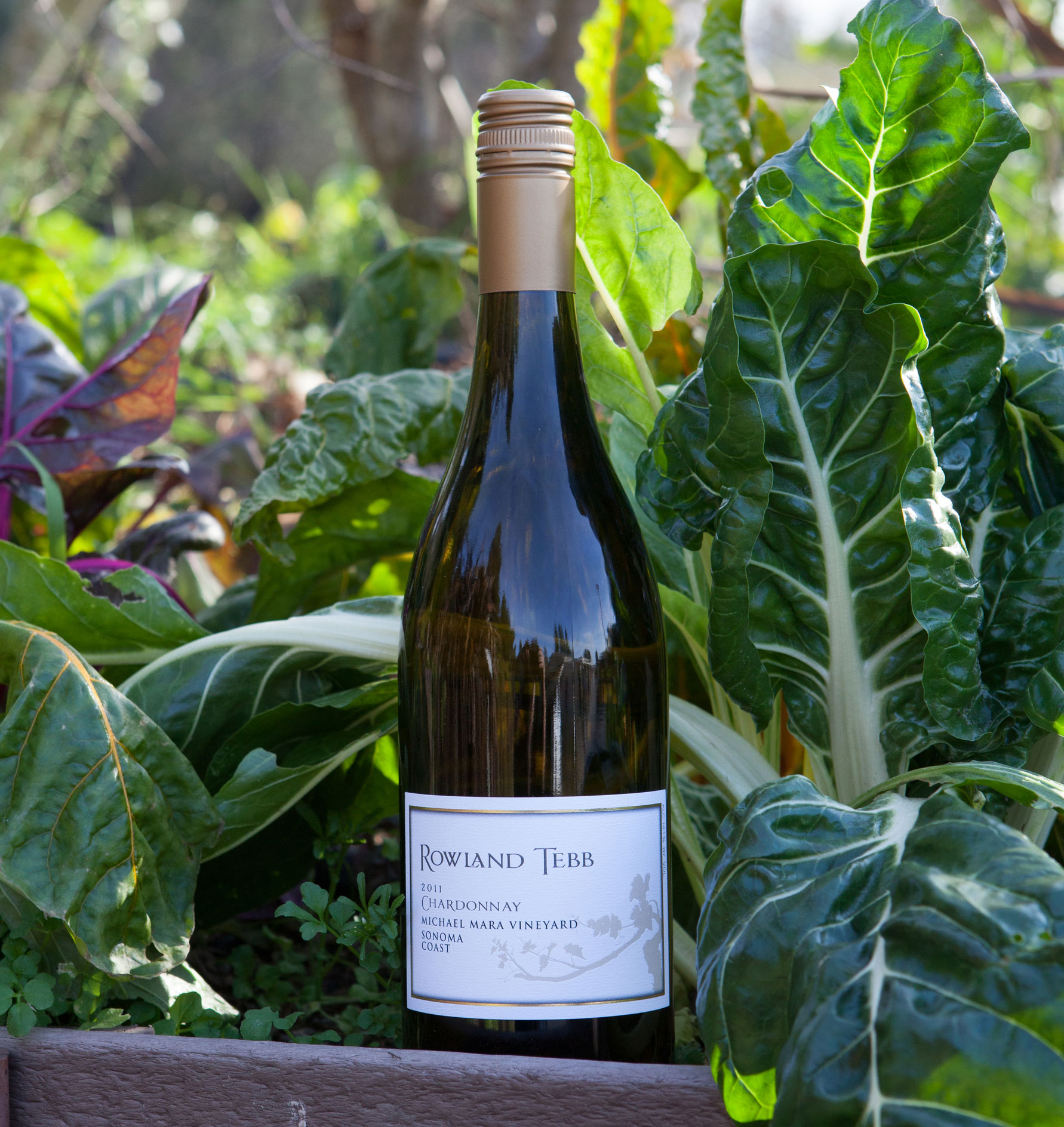 Rowland Tebb 2011 Sonoma Coast Chardonnay 750ml Wine Bottle