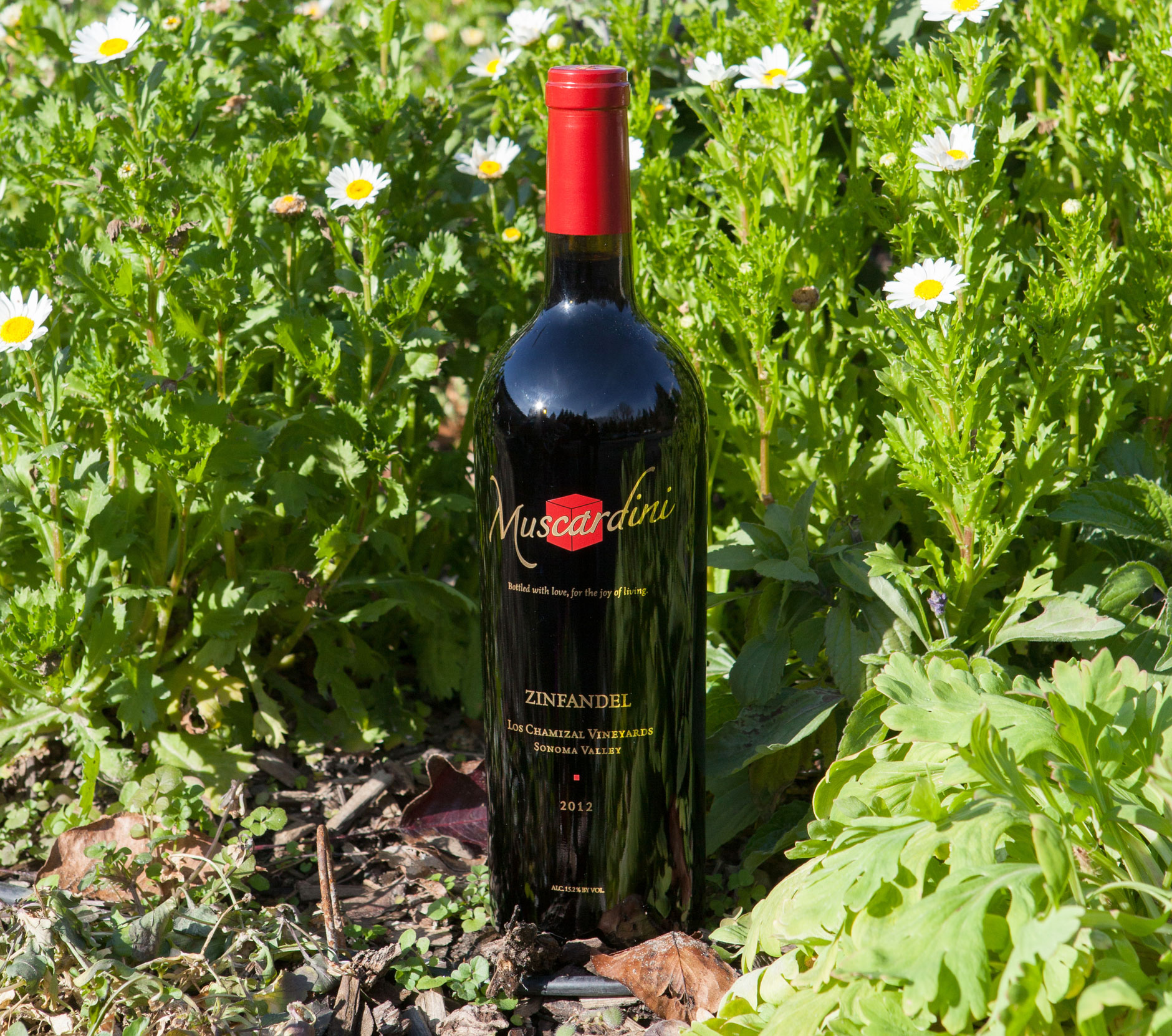 Muscardini Cellars 2012 Zinfandel Los Chamizal Vineyards 750ml Wine Bottle