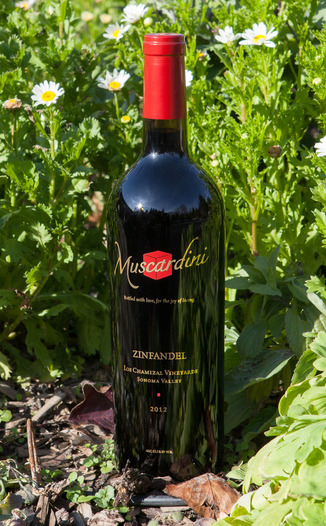 Muscardini Cellars 2012 Zinfandel Los Chamizal Vineyards 750ml Wine Bottle
