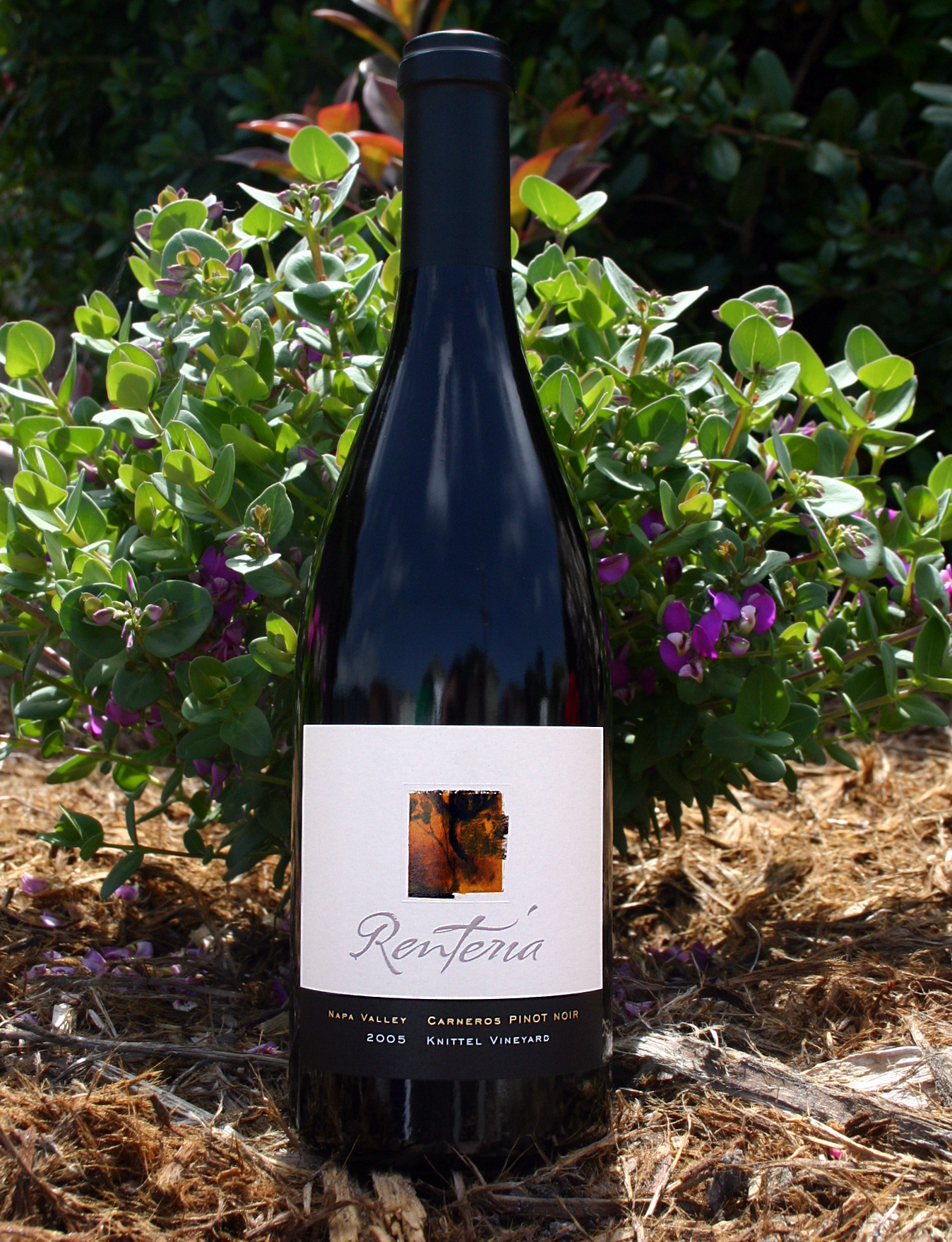 Renteria 2005 Pinot Noir 750ml Wine Bottle