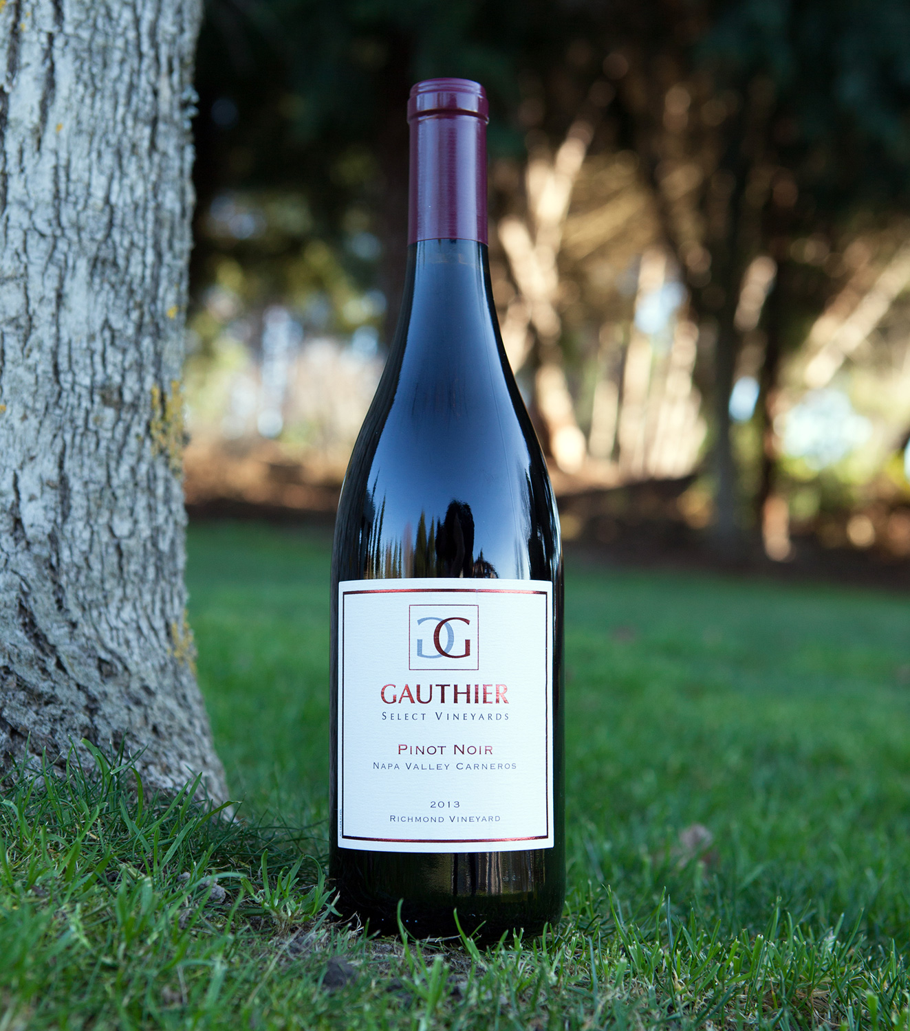 Gauthier Select Vineyards 2013 Pinot Noir Napa Valley Carneros 750ml Wine Bottle