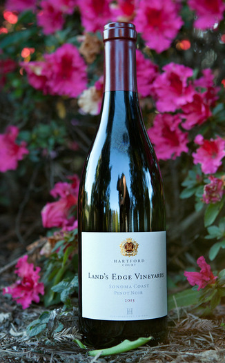 Hartford Family Winery 2013 Pinot Noir Land's Edge Vineyards 750ml Wine Bottle