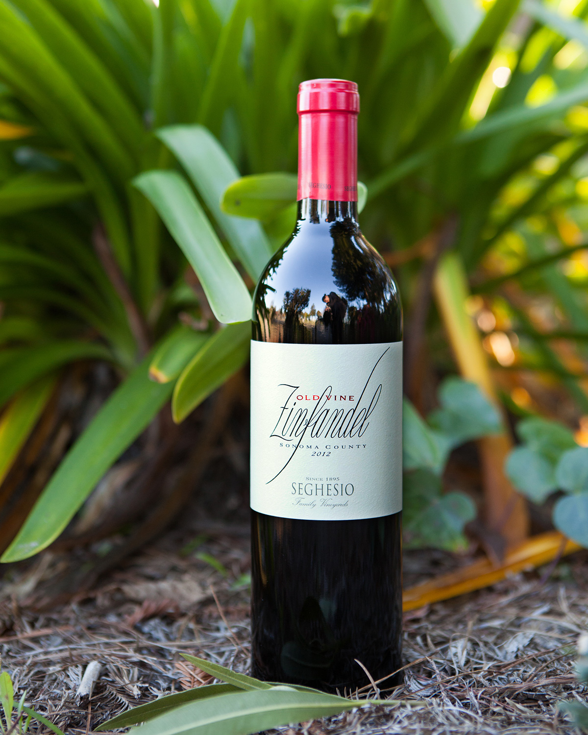 Seghesio Family Vineyards 2012 Zinfandel Old Vine 750ml Wine Bottle