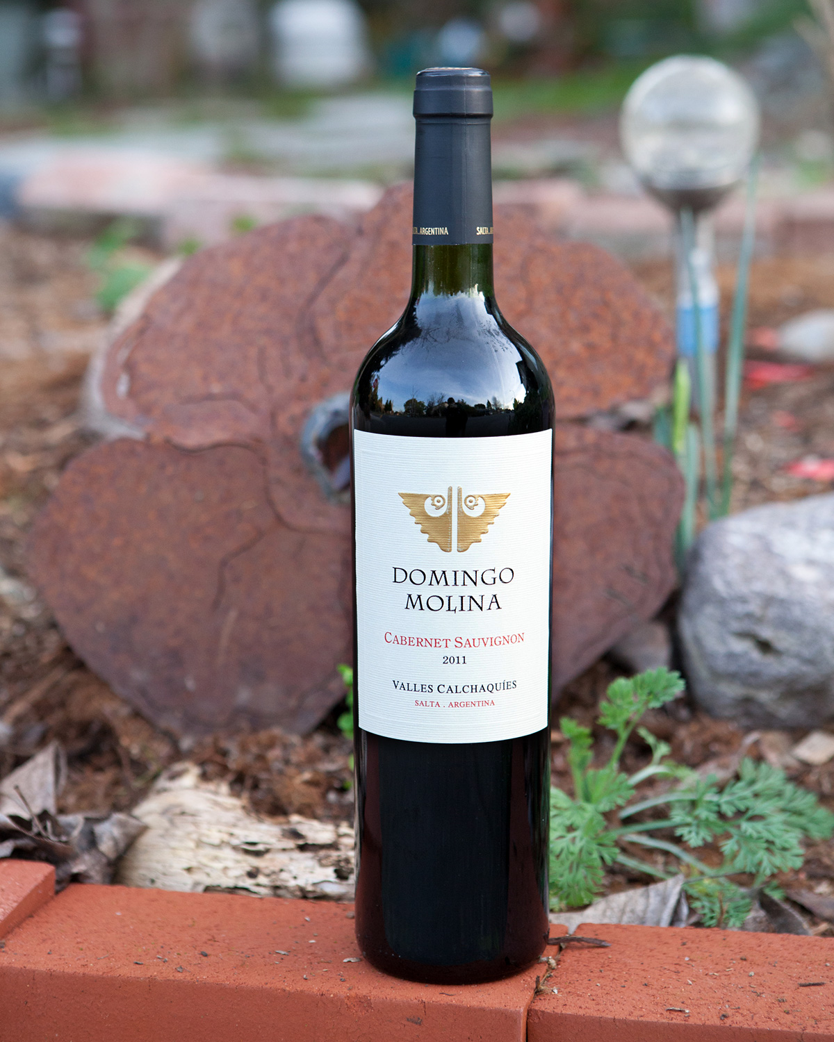 Domingo Molina 2011 Cabernet Sauvignon Valle de Cafayate 750ml Wine Bottle