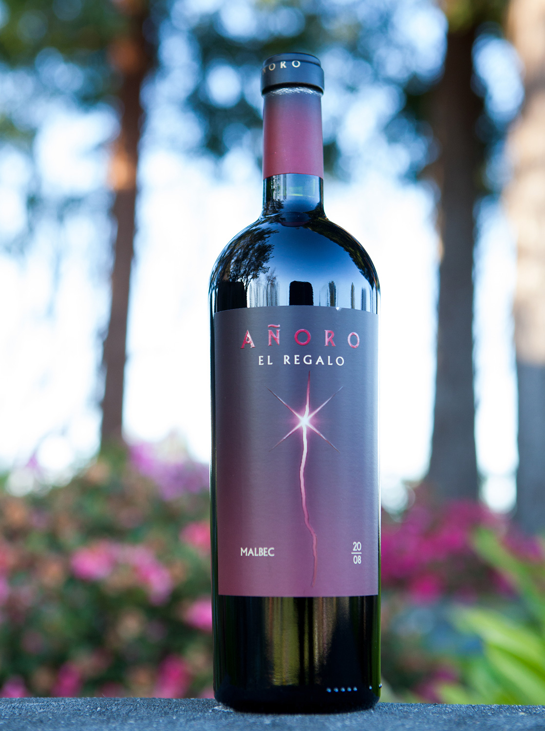 Anoro El Regalo 2008 Malbec 750ml Wine Bottle