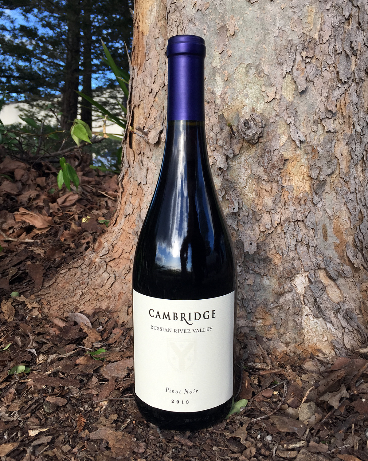 Cambridge Cellars 2013 Pinot Noir Russian River Valley 750ml Wine Bottle