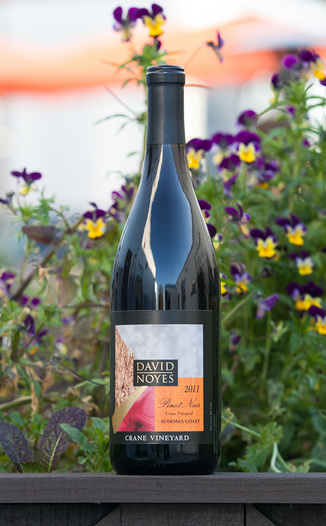 David Noyes Wines 2011 Pinot Noir Sonoma Coast 750ml Wine Bottle