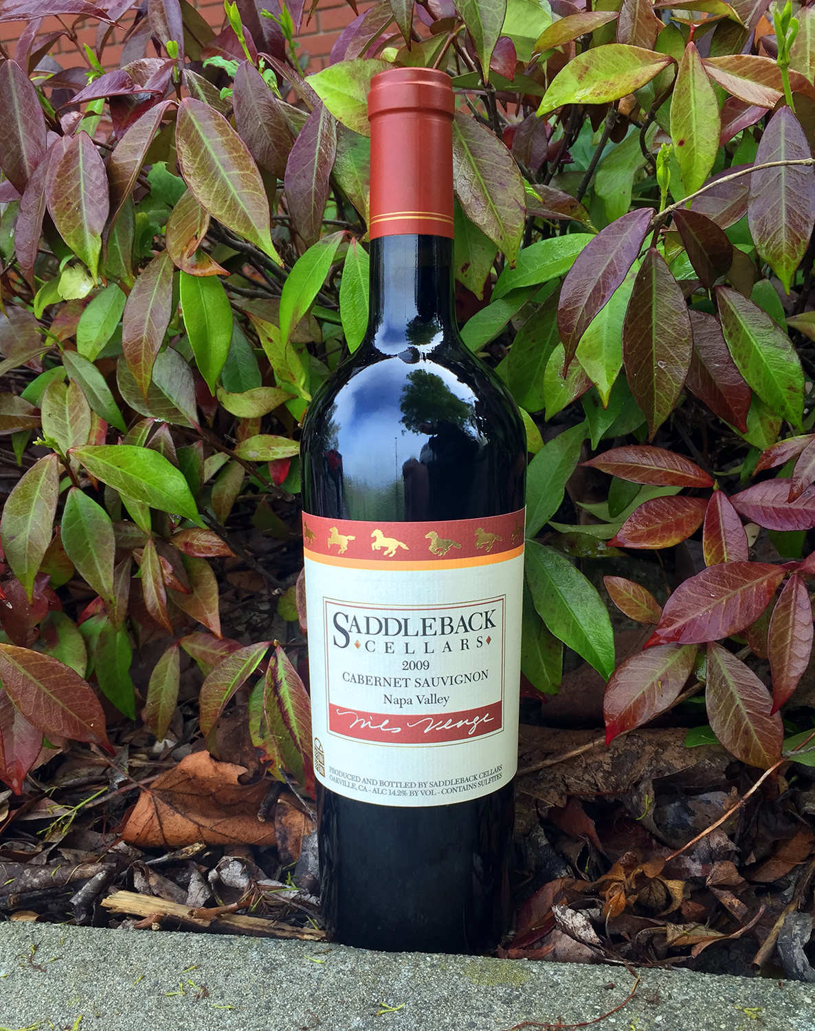 Saddleback Cellars 2009 Cabernet Sauvignon 750ml Wine Bottle