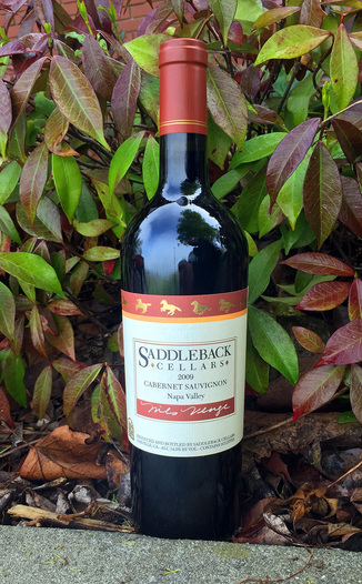Saddleback Cellars 2009 Cabernet Sauvignon 750ml Wine Bottle