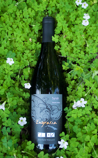 Engracia 2013 Deerfield Vineyard Syrah 750ml Wine Bottle