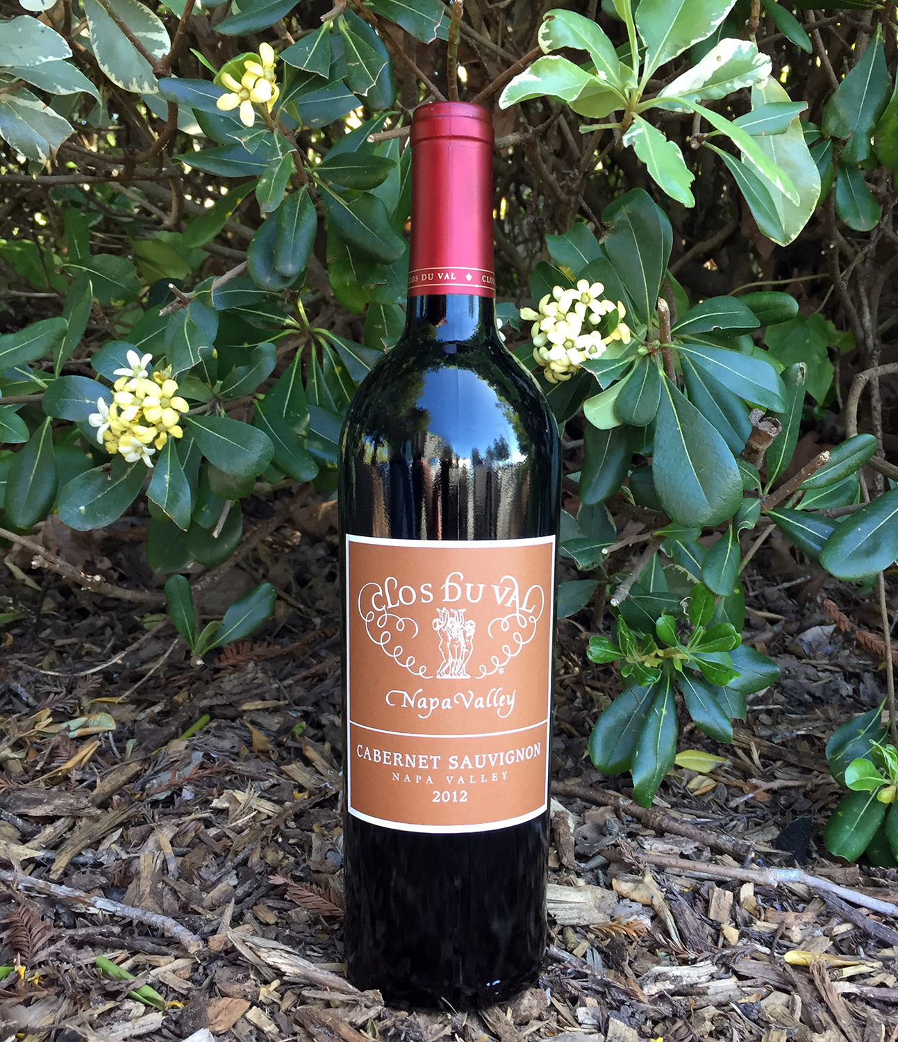 Clos du Val 2012 Cabernet Sauvignon 750ml Wine Bottle