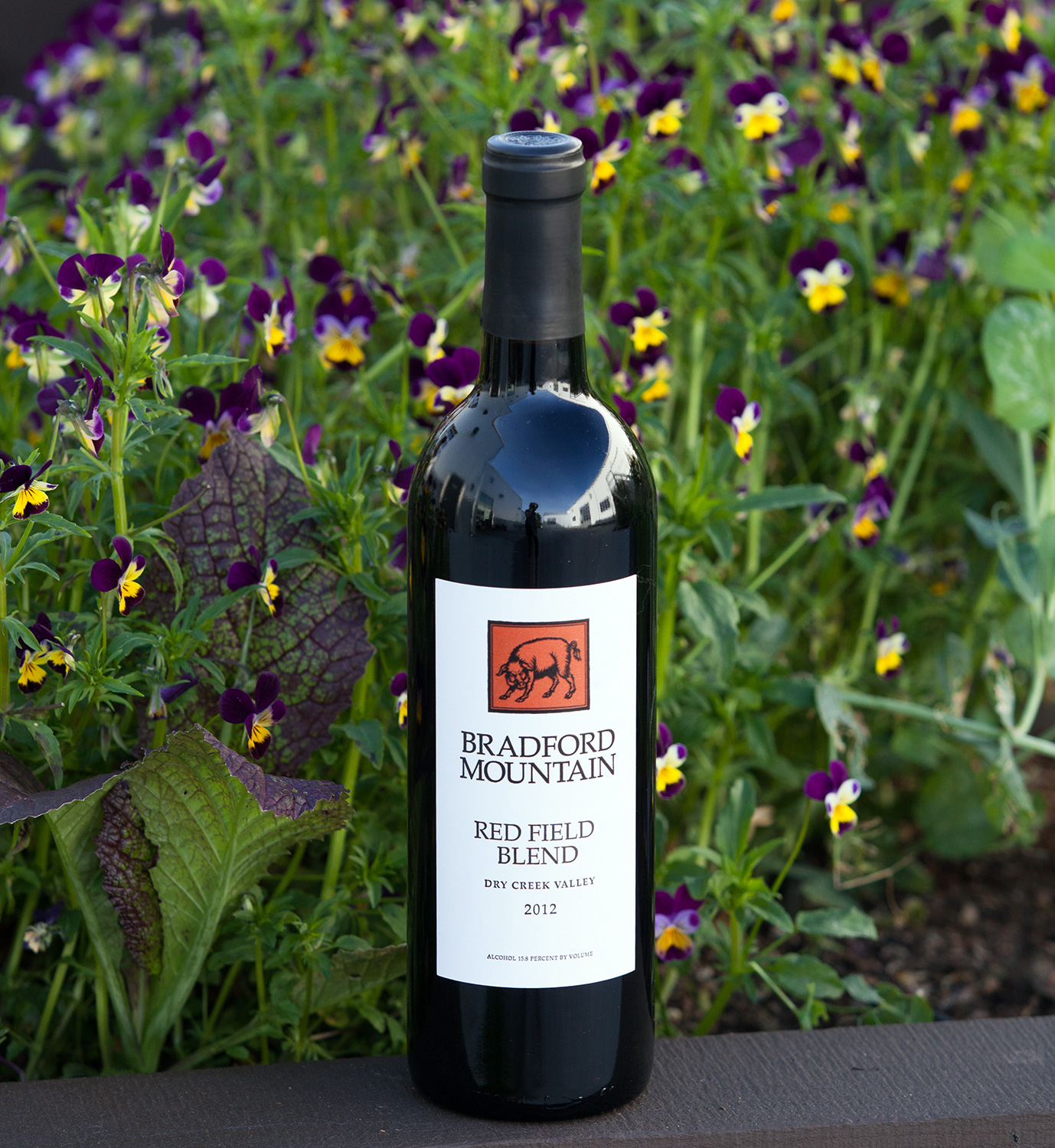 Bradford Mountain Winery 2012 Dry Creek Valley Red Field Blend 750ml Wine Bottle