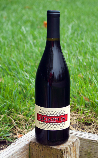 Rumpus Cellars 2013 Sonoma Coast Pinot Noir 750ml Wine Bottle