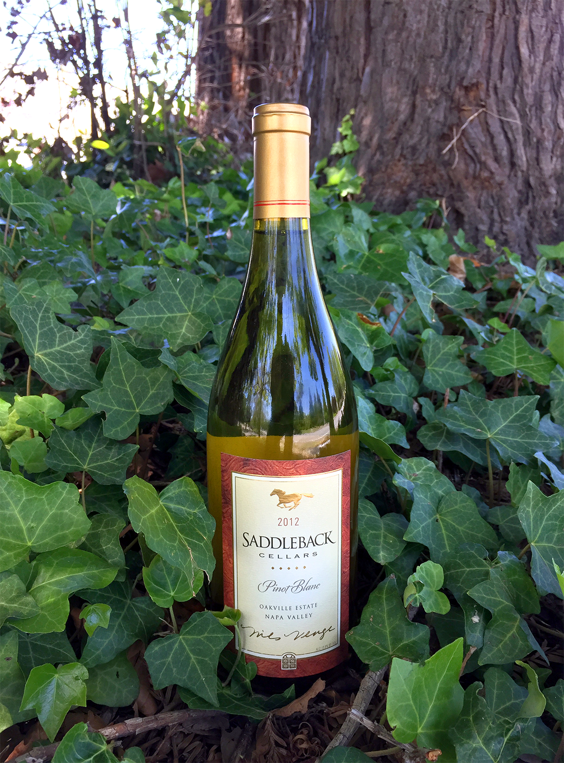 Saddleback Cellars 2012 Pinot Blanc 750ml Wine Bottle