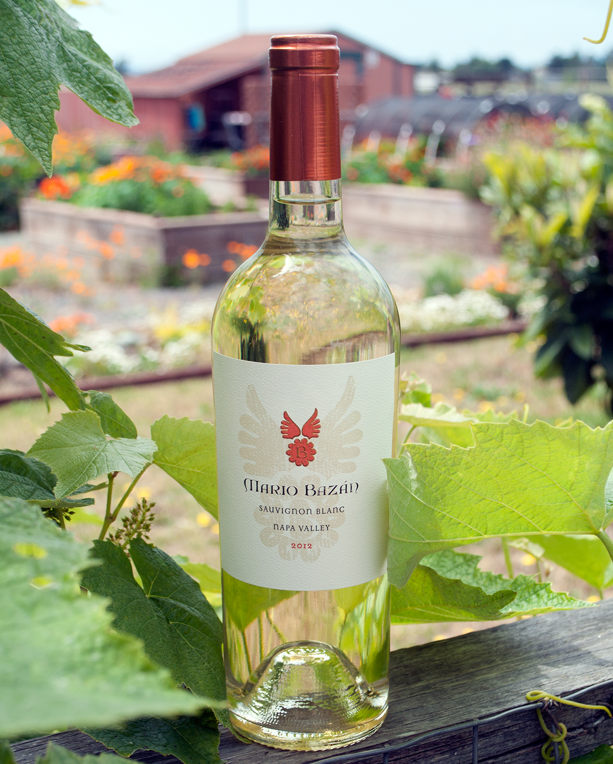 Mario Bazan Cellars 2012 Sauvignon Blanc 750ml Wine Bottle