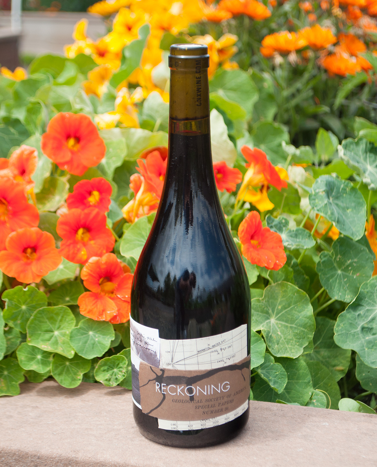 Onx Wines 2012 Reckoning Red 750ml Wine Bottle