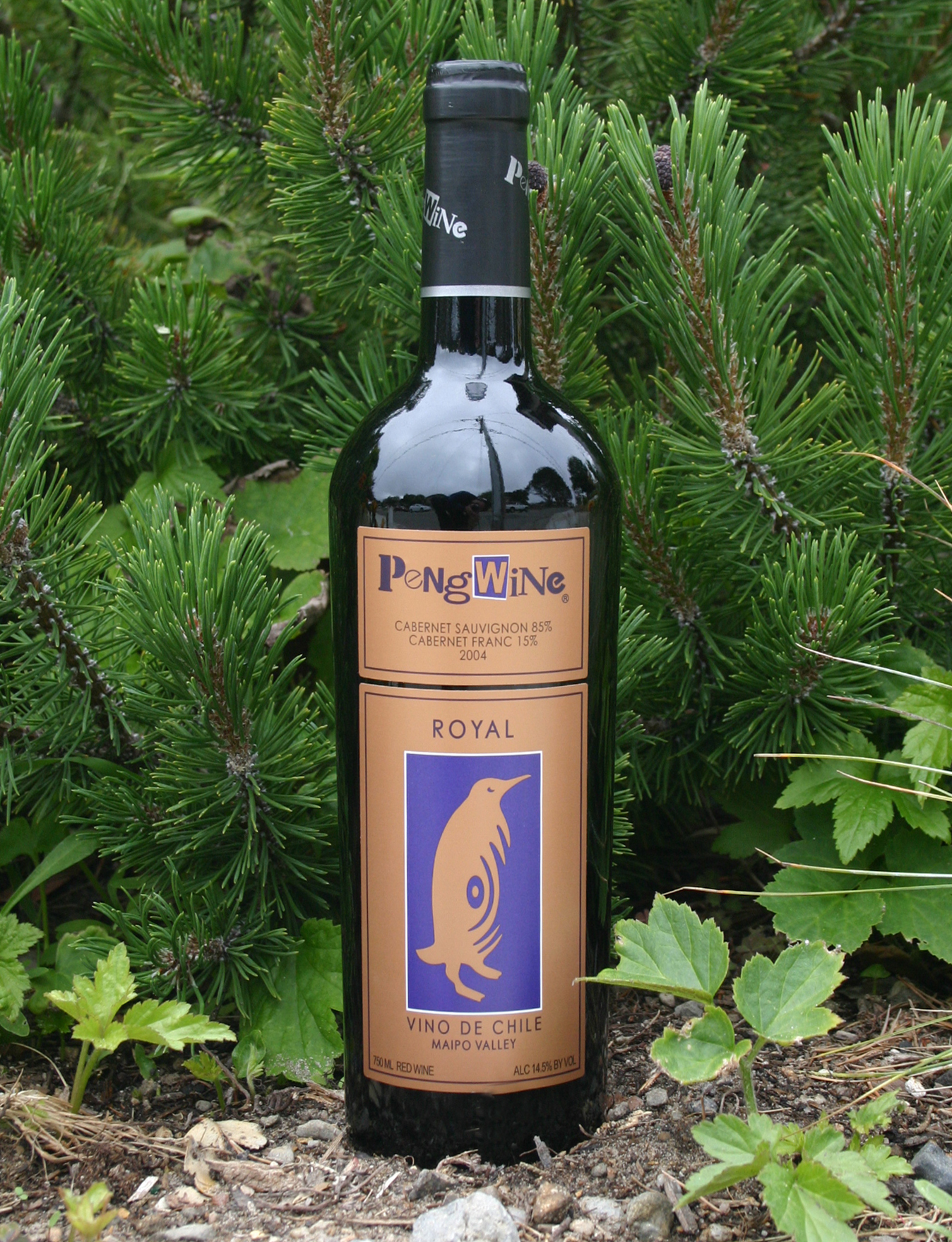 PengWine 2004 Royal Premium 750ml Wine Bottle