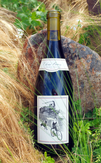 Olivia Brion 2012 Santa Rita Hills Pinot Noir 750ml Wine Bottle