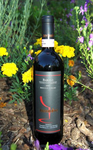 Reverdito Michele 2001 Barolo Bricci Cogni DOCG 750ml Wine Bottle