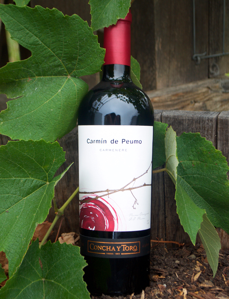 Concha y Toro 2008 Carmin de Peumo Carmenere 750ml Wine Bottle