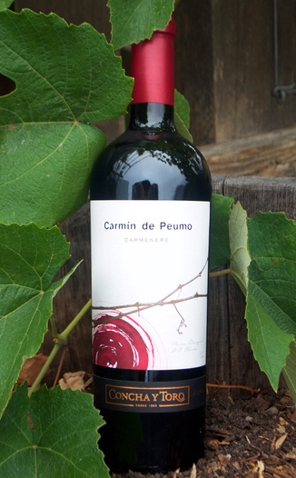 Concha y Toro 2008 Carmin de Peumo Carmenere 750ml Wine Bottle