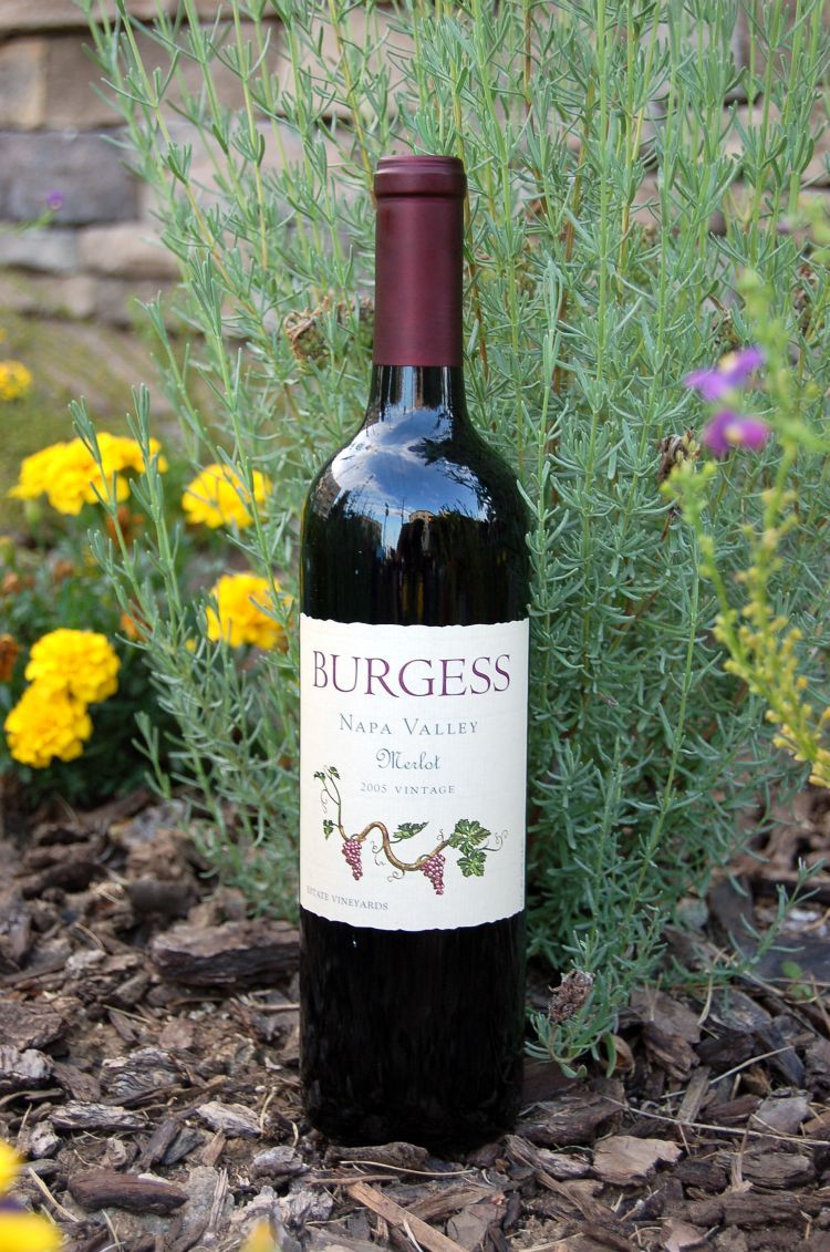 Burgess Cellars 2005 Estate Merlot Napa Valley 750ml Wine Bottle