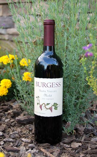 Burgess Cellars 2005 Estate Merlot Napa Valley 750ml Wine Bottle
