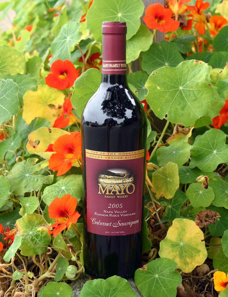 Mayo Family Winery 2005 Random Ridge Cabernet Sauvignon 750ml Wine Bottle