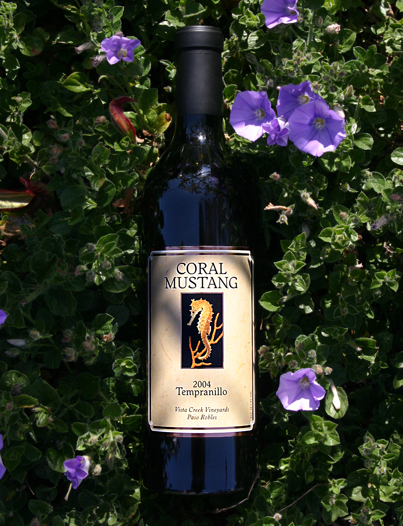 Coral Mustang Wines 2004 Tempranillo 750ml Wine Bottle