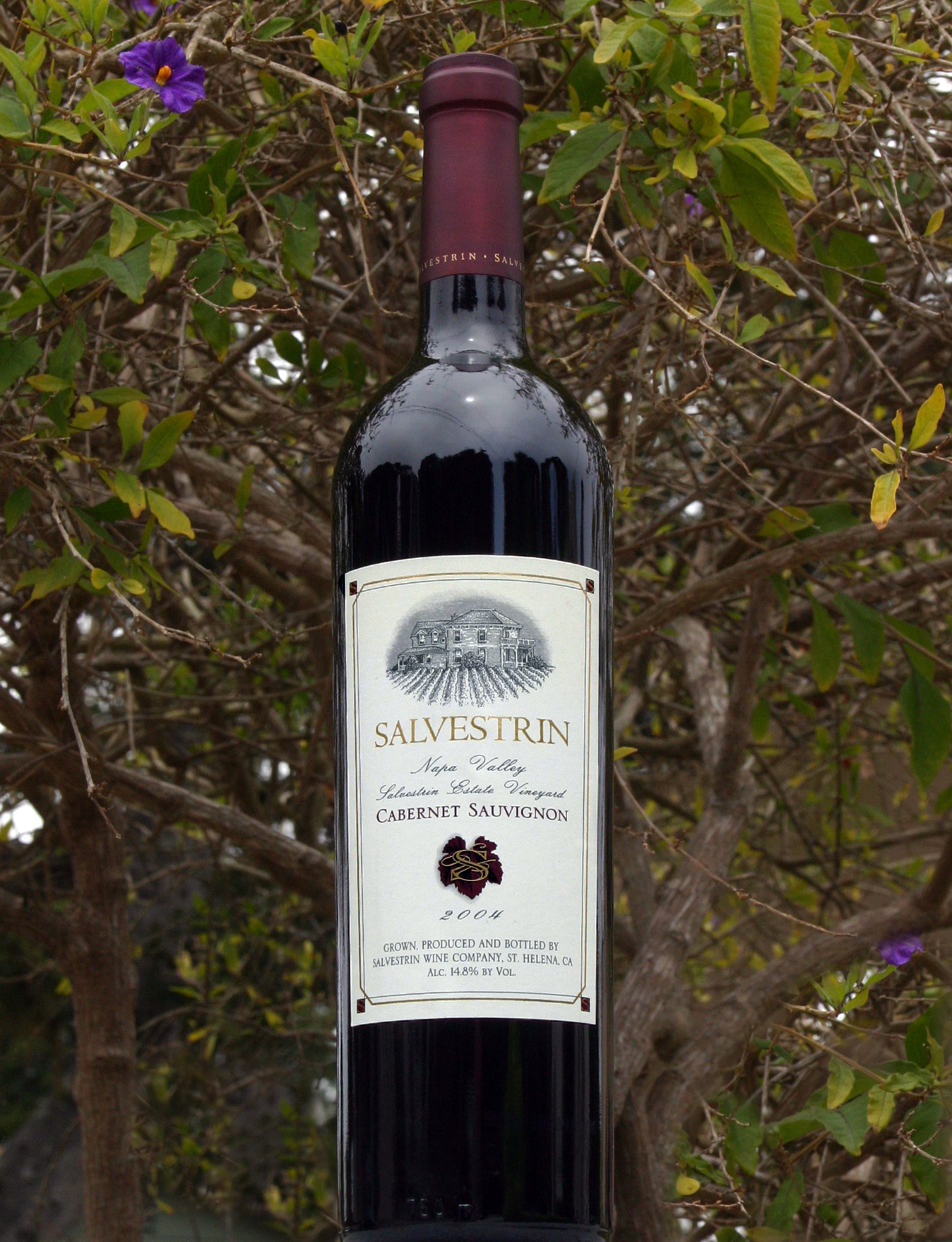 Salvestrin 2004 Cabernet Sauvignon 750ml Wine Bottle
