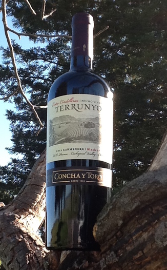 Concha y Toro 2011 Cachapoal Valley Terrunyo Peumo Carmenere 750ml Wine Bottle