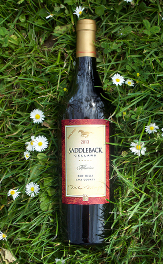 Saddleback Cellars 2013 Lake County Albarino 750ml Wine Bottle