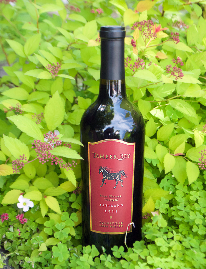 Tamber Bey 2011 Rabicano Red Wine 750ml Wine Bottle