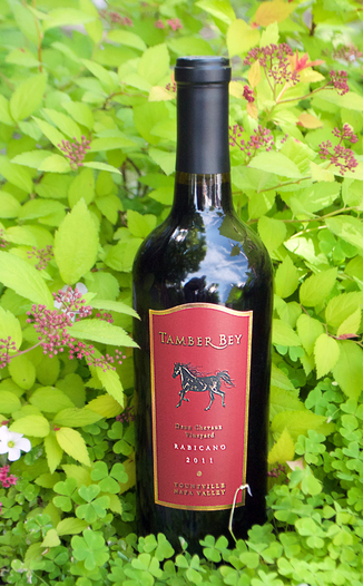 Tamber Bey 2011 Rabicano Red Wine 750ml Wine Bottle