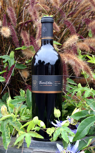 Buena Vista Carneros Winery 2005 Ramal Vineyard Merlot 750ml Wine Bottle