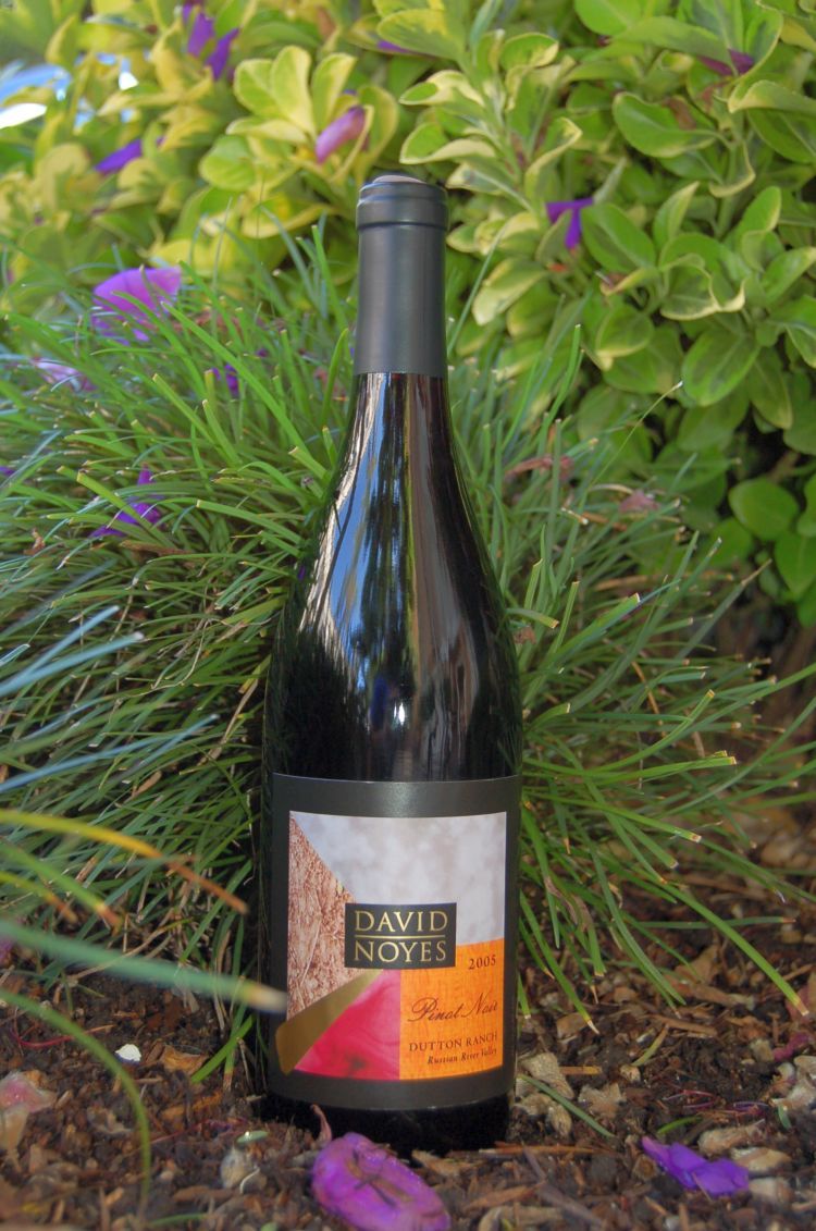 David Noyes Wines 2005 Russian River Valley Pinot Noir 750ml Wine Bottle