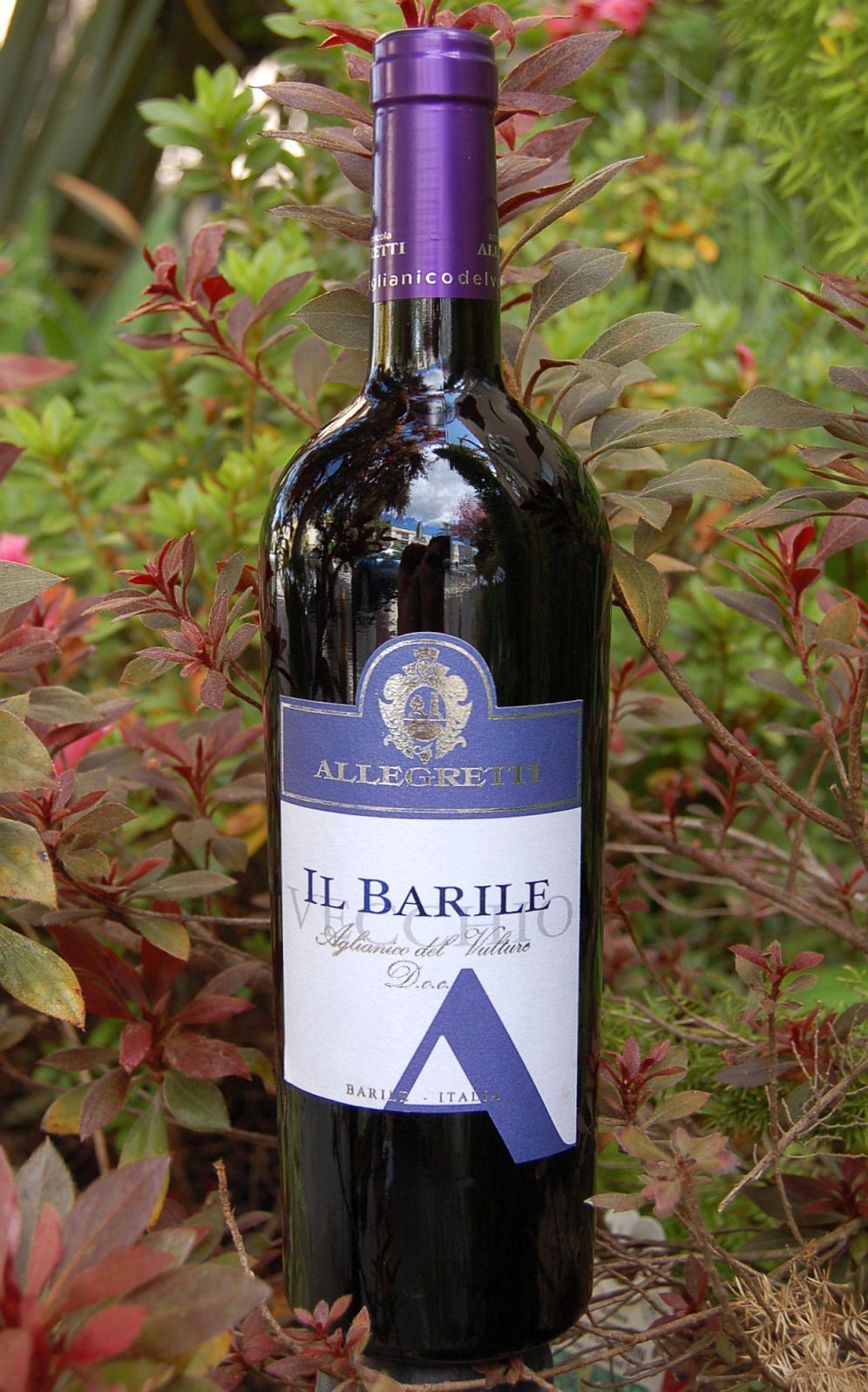 Az. Agr. Allegretti 2003 Il Barile Vecchio Aglianico del Vulture DOC 750ml Wine Bottle