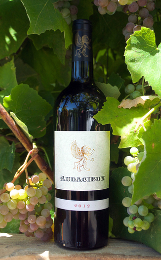 Allen Estate 2013 Audacieux single-vineyard Cabernet Sauvignon 750ml Wine Bottle