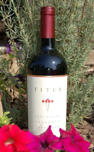 Titus Vineyards 2005 Napa Valley Cabernet Sauvignon 750ml Wine Bottle