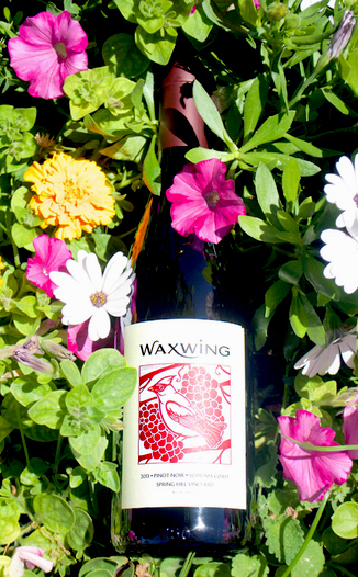 Waxwing 2013 Spring Hill Vineyard Sonoma Coast Pinot Noir 750ml Wine Bottle